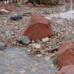 Southern Utah pondless water feature